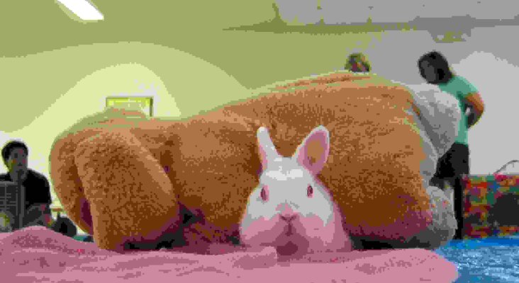 Lilo under stuffed bunny toy 64K.jpg