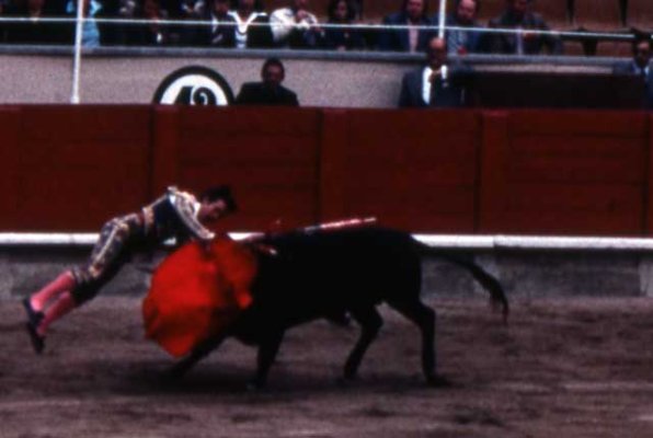 Bullfight-Madrid-summer-76.jpg