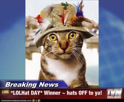 cat hat..jpg