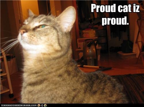 proud cat.jpg