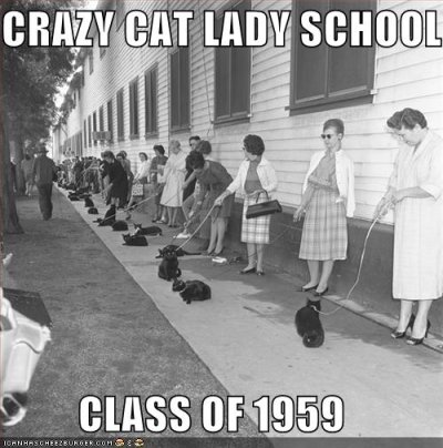 funny-pictures-crazy-cat-lady-school.jpg