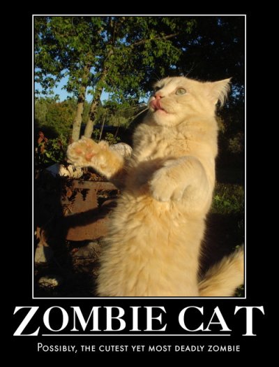zombie cat.jpg