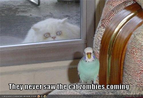 cat zombies.jpg