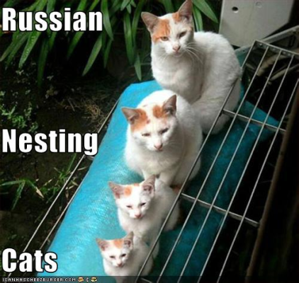 Russian cats1.png