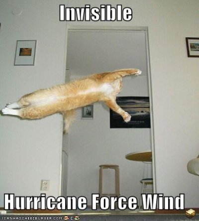invisible hurricane 1.jpg