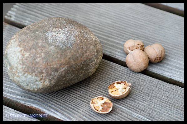 image-hickory-nuts-hammerstone.jpg