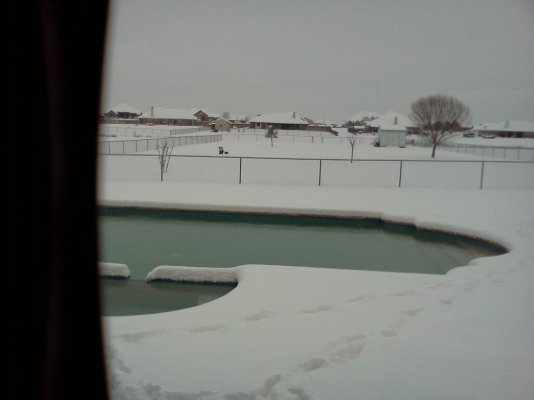 Feb 12, 2010 Snow.jpg