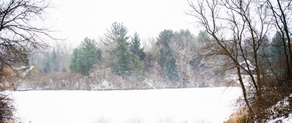 winter landscape 9.jpg