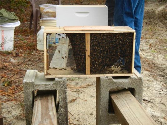 First bee hive install 3-23-2014 (6).JPG
