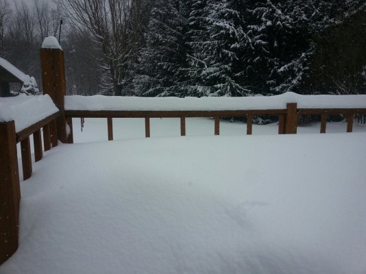 Snowfall-Feb2015-2 (2).jpg