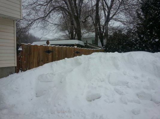 Snowfall-Feb2015-5 (2).jpg