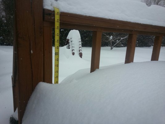 Snowfall-Feb2015-3 (2).jpg