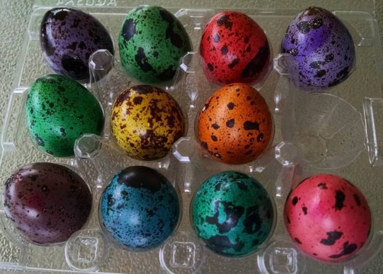 dyed quail eggs.jpg