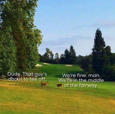Dude Golf.jpg