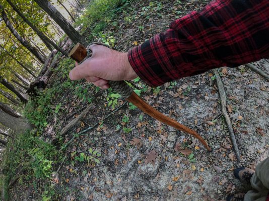 hiking stick in action.jpg