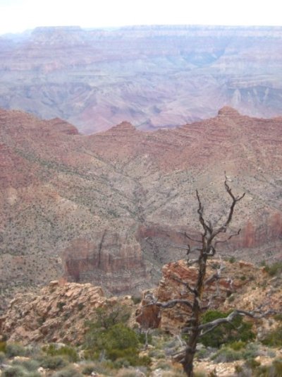 Grand Canyon7.jpg