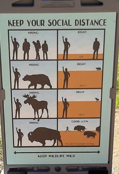bison poster NPS.jpg