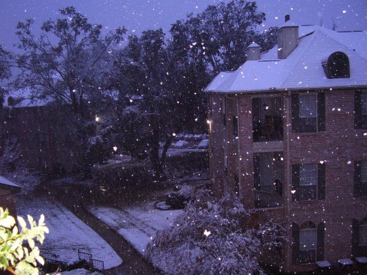 Snowing - view from Apartment 2.jpg