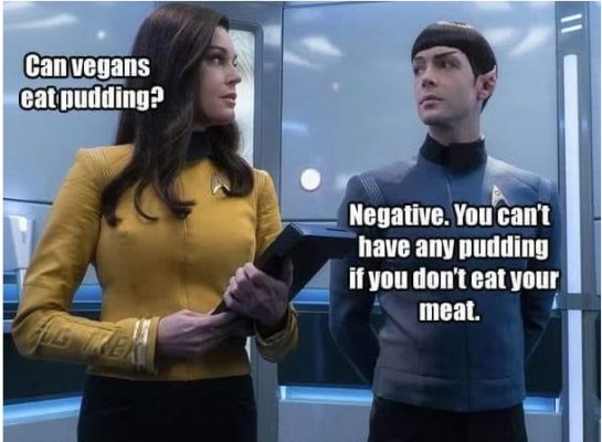 Can Vegans eat pudding.JPG