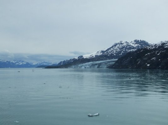 20090619 026 glacier bay.jpg