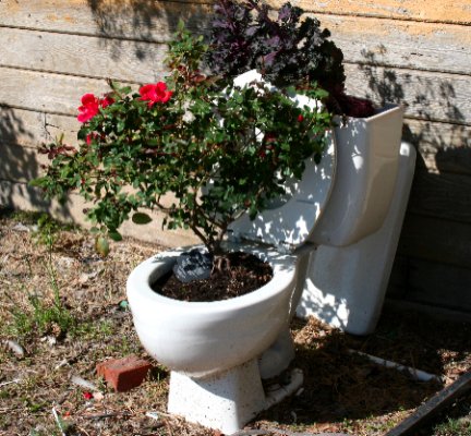 toilet_planter.jpg