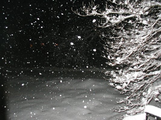Snow in VA.JPG