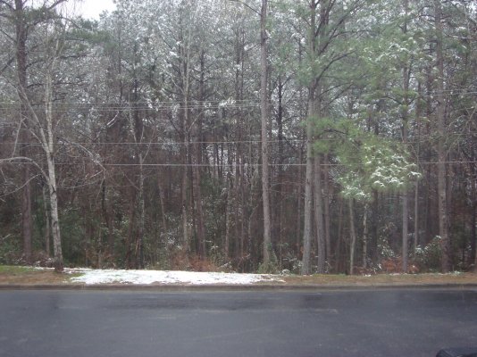 Snow in AL Feb 2010 001.jpg