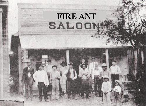 fire ant saloon.jpg
