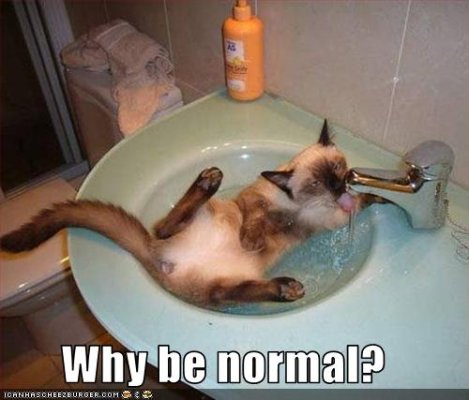 why be normal.jpg