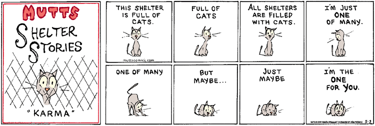 shelter mutts 1.gif