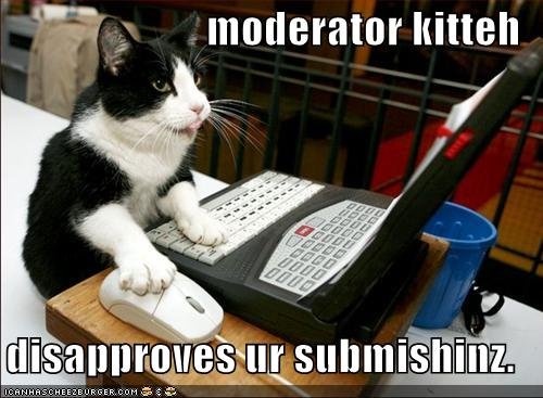moderator cat.jpg