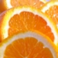 orangetulipgarden