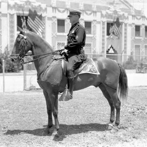 Mounted Patrol 1928 Democratic National Convention