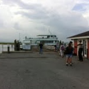 ferry to Sapelo