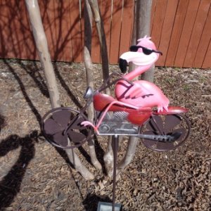 Flamingo biker
