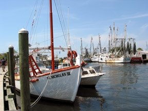 Tarpon Springs is a charming Greek fishing village. We bought great olives there.