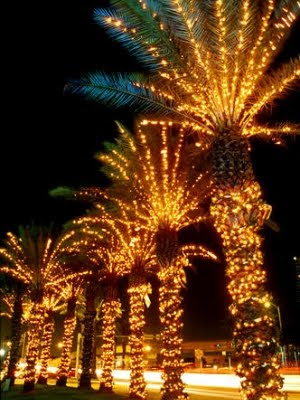 Christmas-Lights-Miami.jpg