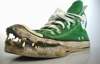 crocodile-shoes.jpg