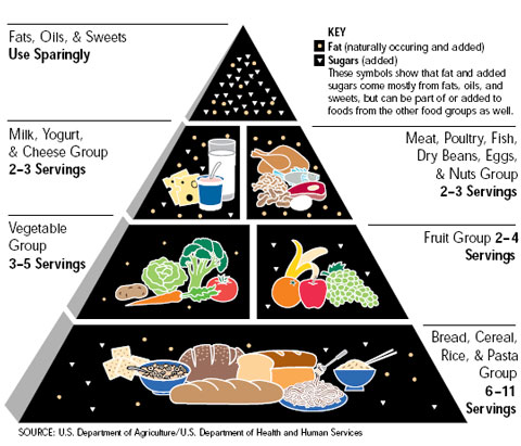 USDA-old-food-pyramid.jpeg