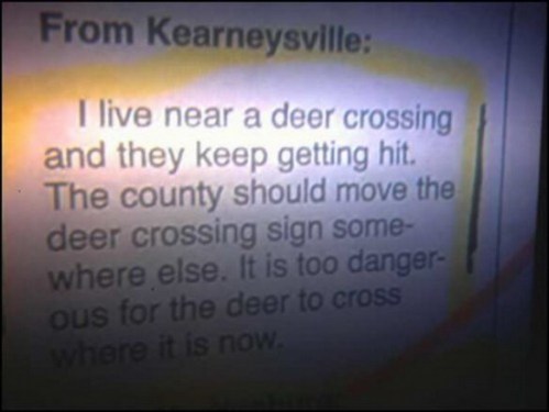deer_crossing.jpg