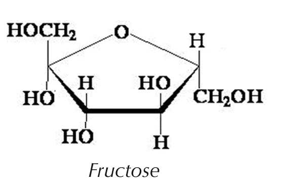 Fructose.jpg