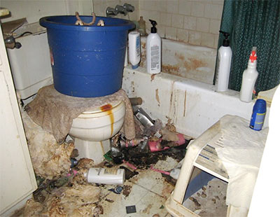 messy-apartment-bath.jpg