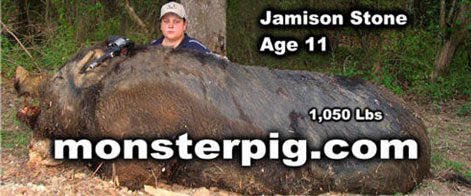 Jamison_stone_monster_pig_stinkyjournalism_fig11.jpg