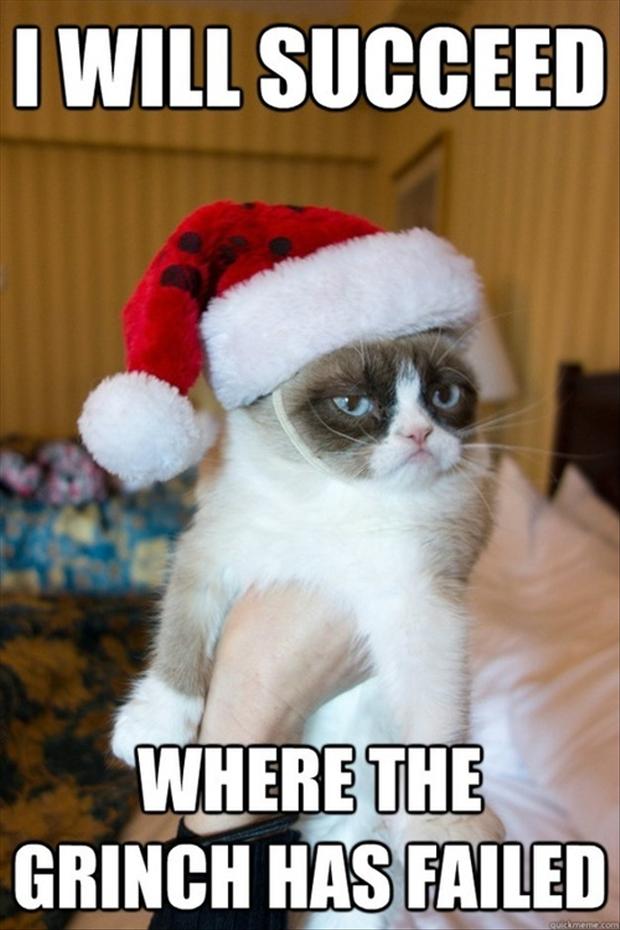 grumpy-cat-funny-christmas-pictures.jpg