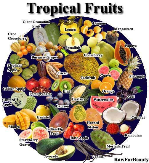 f1e8543645773fd69b90984496690061--healthy-fruits-healthy-snacks.jpg