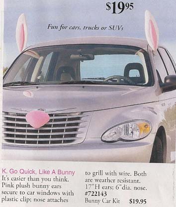 bunny_car.jpg
