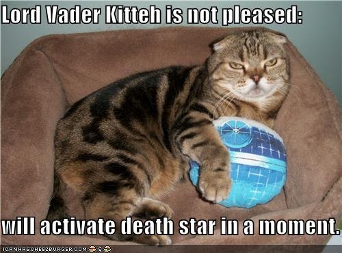 Vader Kitteh.jpg