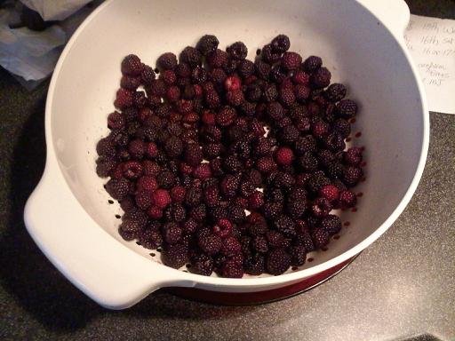 blackberries2011.jpg