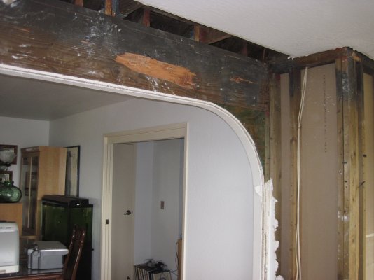 Arch termite damage in 4x12 lintel.JPG