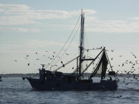 Copy of Shrimp Boat Chas Harbor 200.jpg
